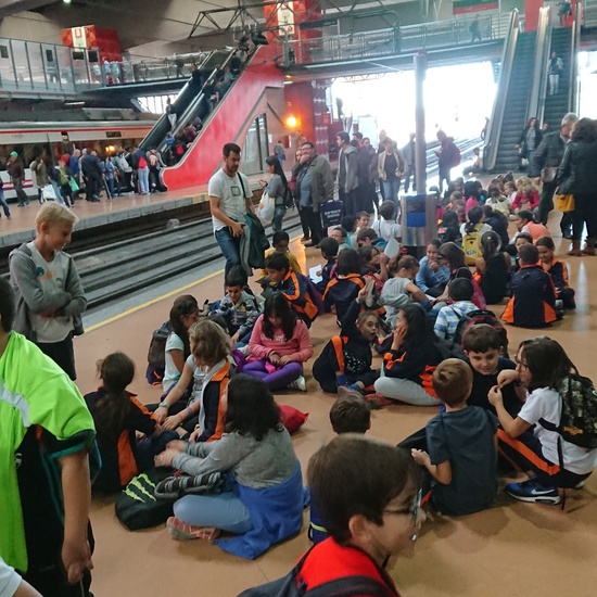 Excursión al museo de ciencias 22