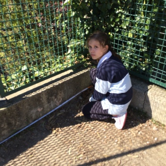 Quinto mide el Colegio 36