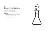 Experimentación