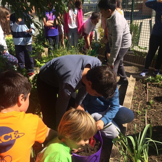 2019_05_Los alumnos de 4º en el Huerto_CEIP FDLR_Las Rozas 18