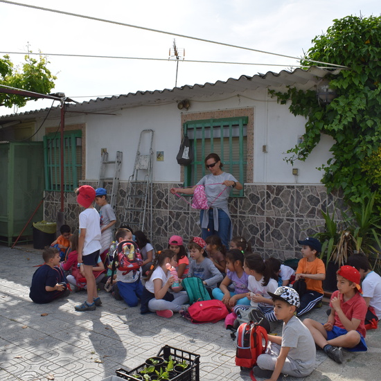 Siembra Huerta Balta 5 años 2018 13