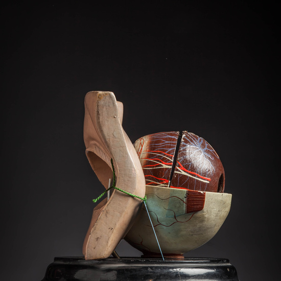 IES_CARDENALCISNEROS_ANATOMIA_MODELOS_048