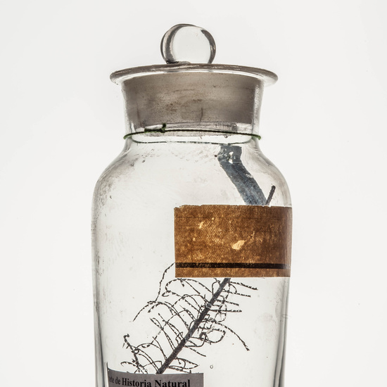 IES_CARDENALCISNEROS_CIENCIASNATURALES_031