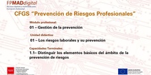 UD 1 GESTIÓN DE LA PREVENCIÓN