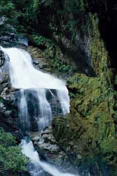 Parque nacional de Fiorland, Nueva Zelanda