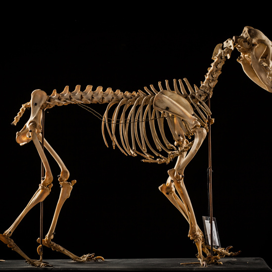 IES_CERVANTES_BIOLOGIA_057