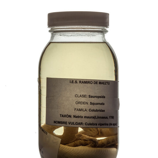 IES_RAMIRODEMAEZTU_BIOLOGIA_071