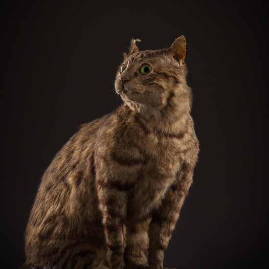 IES_SANISIDRO_BIOLOGIA_125