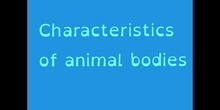 PRIMARIA - TERCERO - CHARACTERISTICS OF ANIMAL BODIES - NATURAL SCIENCE - NEREA, CARMEN, FERNANDO, ANTONIO - FORMACIÓN