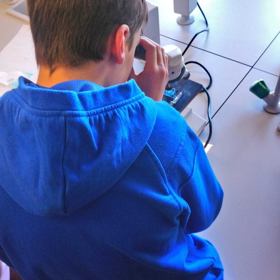 PW 6º IES PARQUE LISBOA 2019-2020 34