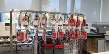 VISITA CENTRO DE TRANSFUSIÓN DE SANGRE 6
