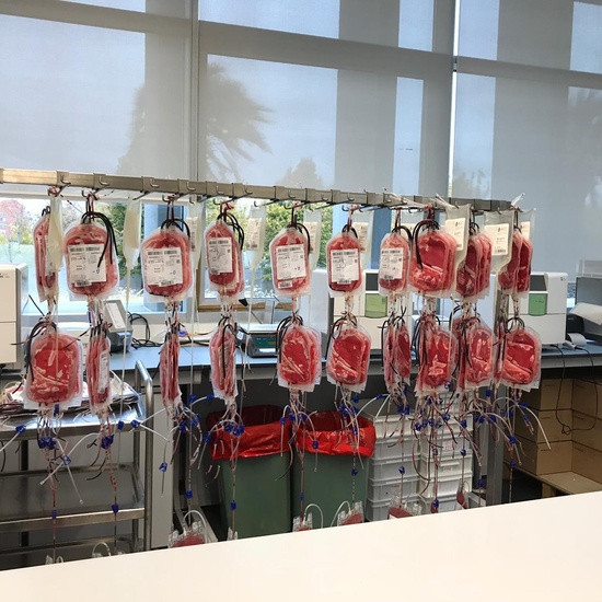 VISITA CENTRO DE TRANSFUSIÓN DE SANGRE 6