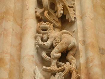 Detalle de la Catedral Nueva, Salamanca, Castilla y León