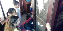 Visita a la exposición El Bosque. 1º 2º Primaria. CEIP Pinocho. 2016/17 7