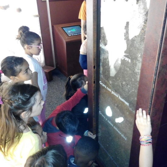 Visita a la exposición El Bosque. 1º 2º Primaria. CEIP Pinocho. 2016/17 7