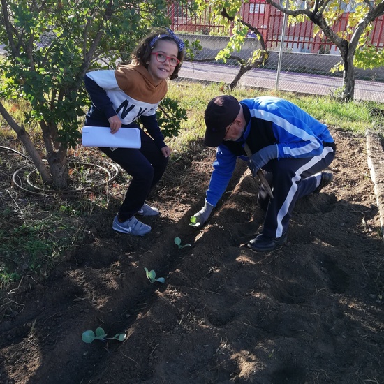 Huerto escolar 2019/20 6