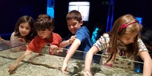 Aquarium Xanadú II 3ºB  23