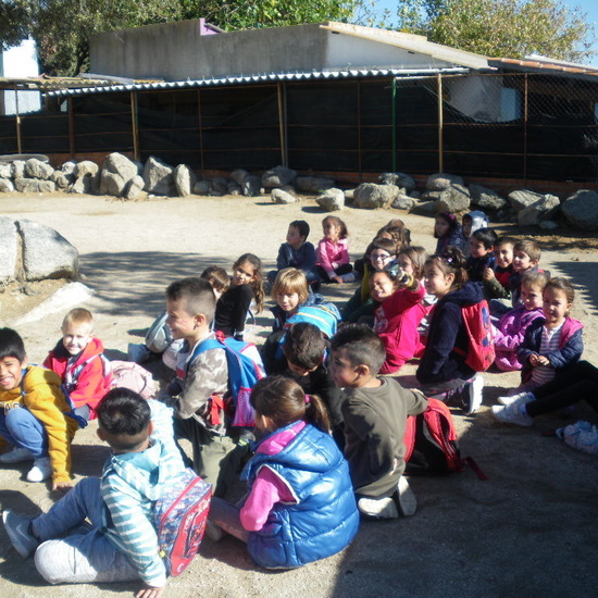 SALIDA A GRANJA ESCUELA EL PALOMAR (Chapinería ) 4