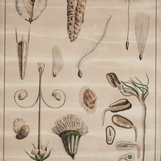 IES_LOPEDEVEGA_CIENCIASNATURALES_043