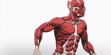HUMAN BODY SYSTEMS