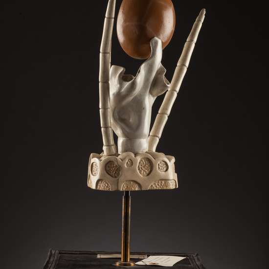 IES_SANISIDRO_BIOLOGIA_160