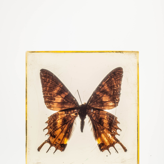 IES_CARDENALCISNEROS_CIENCIASNATURALES_101