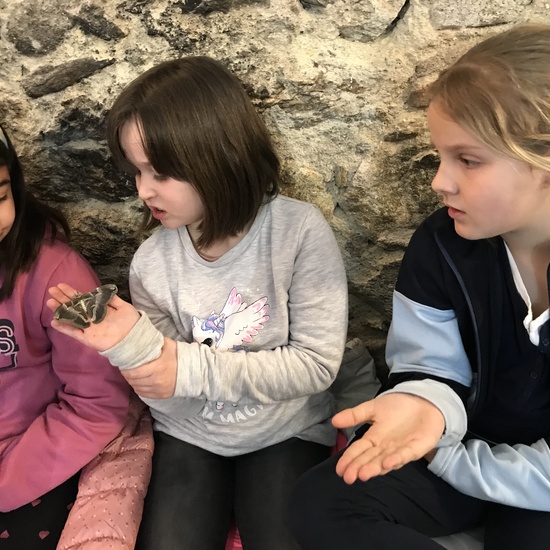 2020_02_27_3º visita Insectpark (5)_CEIP FDLR_Las Rozas 5