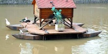 Casa de patos en río Manzanares, Madrid