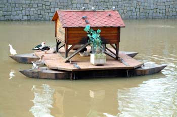 Casa de patos en río Manzanares, Madrid