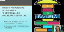 IES Rayuela - Información sobre Programas Profesionales Especiales (2021)