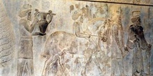 Relieve Procesión de los Tributarios, Persépolis (Irán)