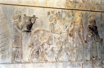 Relieve Procesión de los Tributarios, Persépolis (Irán)