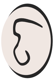 Oreja derecha