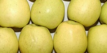 Manzanas verdes