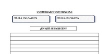 Actividad Comparar Células