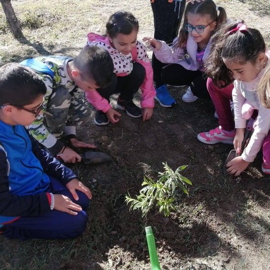 Salida Bosque Sur.3º de Primaria. Octubre 2019 13