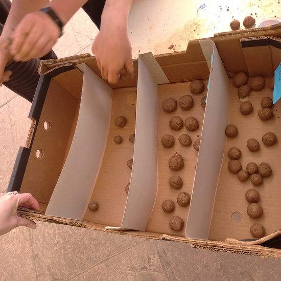 JORNADAS TEMÁTICAS 2021 