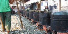 Cociendo mejillones, Jakarta