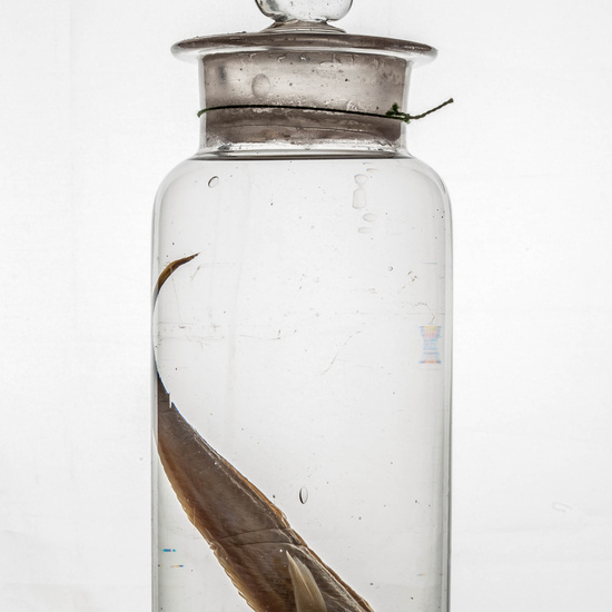 IES_CARDENALCISNEROS_CIENCIASNATURALES_356