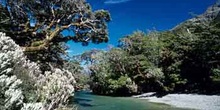 Parque nacional de Fiorland, Nueva Zelanda