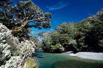 Parque nacional de Fiorland, Nueva Zelanda