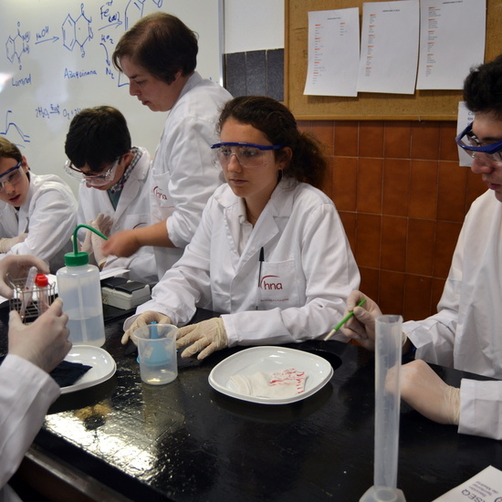 Proyecto de Aprendizaje y Servicio  4