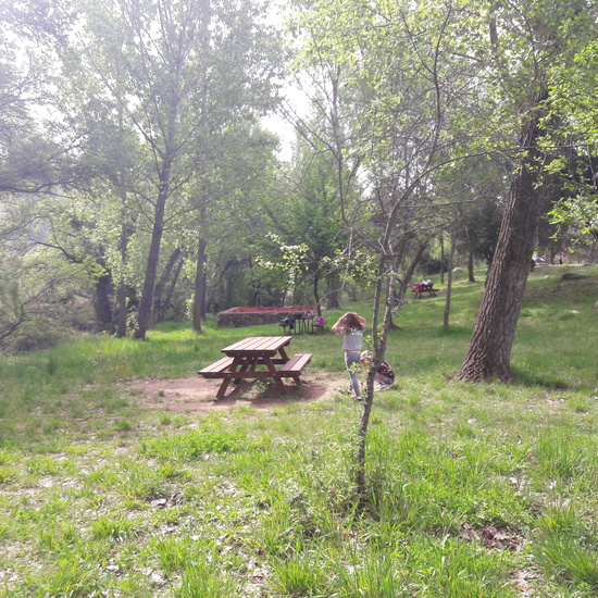 Multiaventura en Torrelaguna 1º Primaria (7 de mayo de 2019) 5