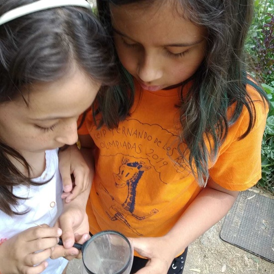 2019_06_07_Los alumnos de Quinto observan los insectos del huerto_CEIP FDLR_Las Rozas 13