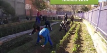 HUERTO ECOLÓGICO DEL C.P. PABLO PICASSO- MARZO 2014