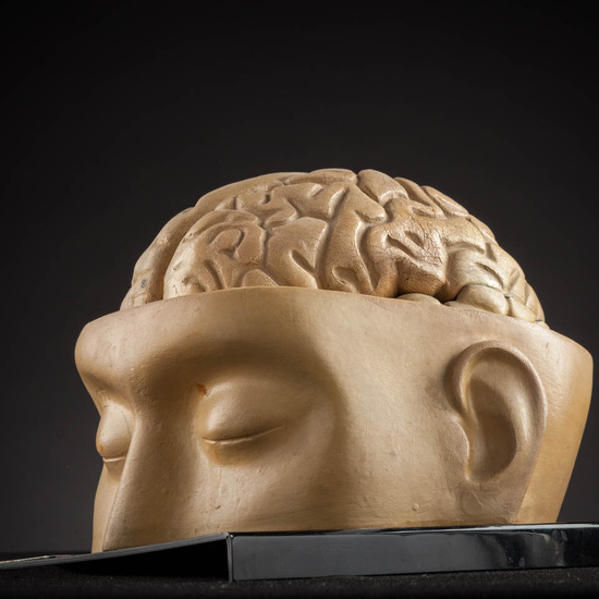 IES_ISABELLACATOLICA_ANATOMIA_007