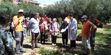 Jornadas Ciencia 2019_Visita Huerto (2)