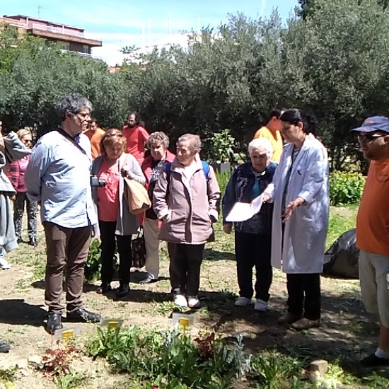 Jornadas Ciencia 2019_Visita Huerto (2)
