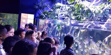 Aquarium Xanadú II 3ºB  8