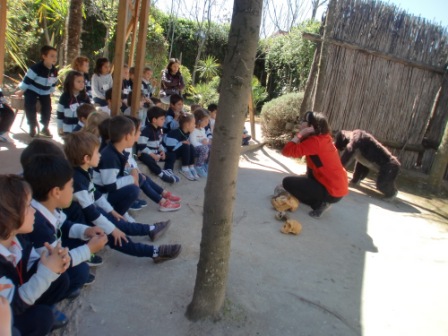 2017_04_04_Infantil 4 años en Arqueopinto 1 10